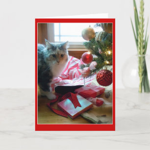 Tarjeta Festiva Gato roto abriendo regalo navideño temprano
