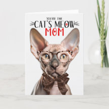 Gato sin pelo para mamá en el día de la madre