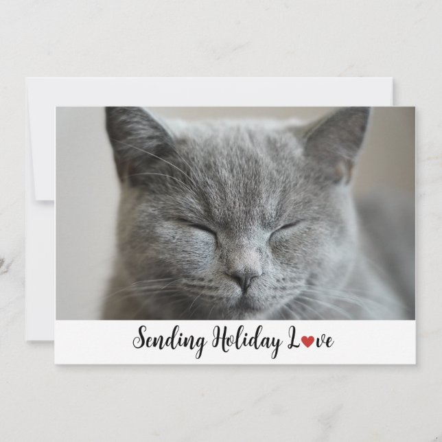 Tarjeta Festiva Gato Sleepy Cute envía amor navideño (Anverso)