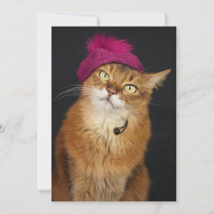 Tarjeta Festiva Gato somalí con una Beret de frambuesa