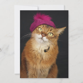 Tarjeta Festiva Gato somalí con una Beret de frambuesa