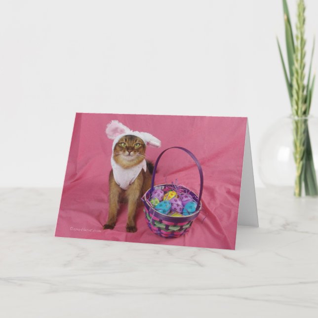 Tarjeta Festiva Gato somalí de lúpulo de Pascua (Anverso)