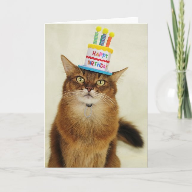 Tarjeta Festiva Gato somalí Gorra de cumpleaños (Anverso)