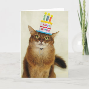 Tarjeta Festiva Gato somalí Gorra de cumpleaños