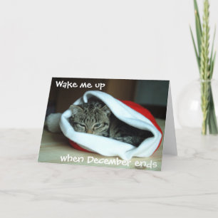 Tarjeta Festiva Gato somnoliento en vacaciones en Santa Hat