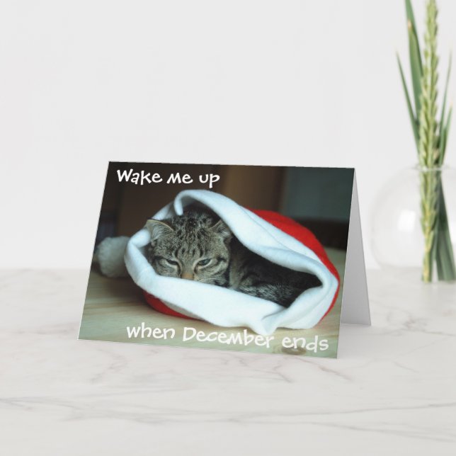 Tarjeta Festiva Gato somnoliento en vacaciones en Santa Hat (Anverso)