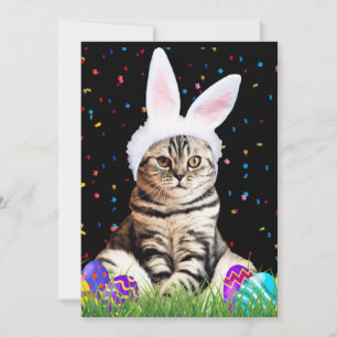 Tarjeta Festiva Gato Tabby de Pascua