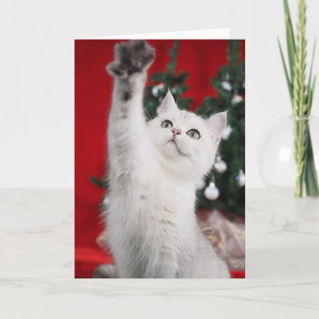 Tarjeta Festiva Gato XMAS blanco (Anverso)