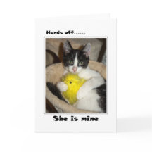 Gato y polluelo de Pascua