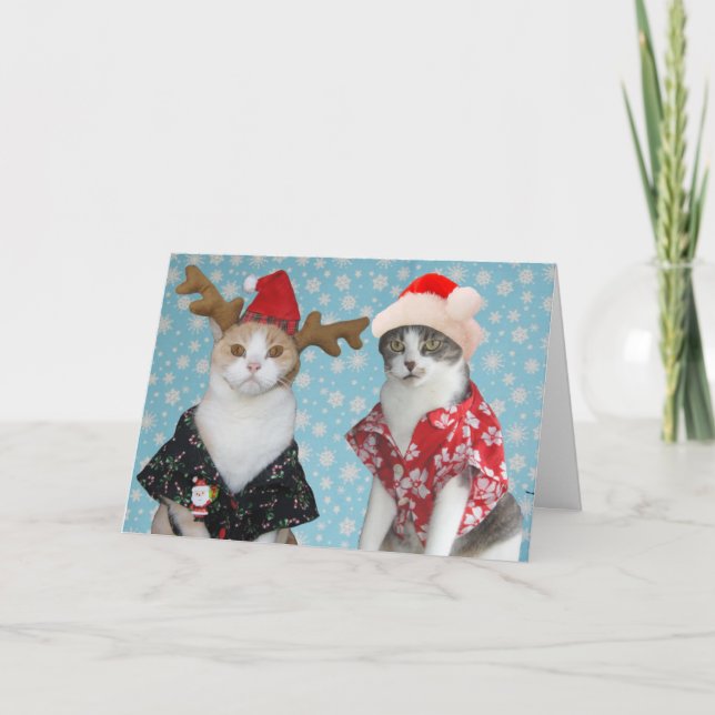 Tarjeta Festiva Gatos de Navidades graciosos de personalizable (Anverso)