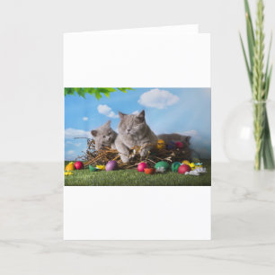 Tarjeta Festiva Gatos de Pascua
