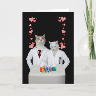 Tarjeta Festiva Gatos de química divertida en el personalizable