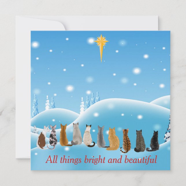 Tarjeta Festiva Gatos Estrella religiosa Todas las cosas Animales (Anverso)