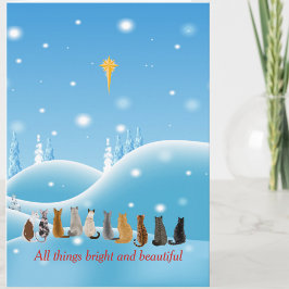 Tarjeta Festiva Gatos Estrella religiosa Todas las cosas Animales