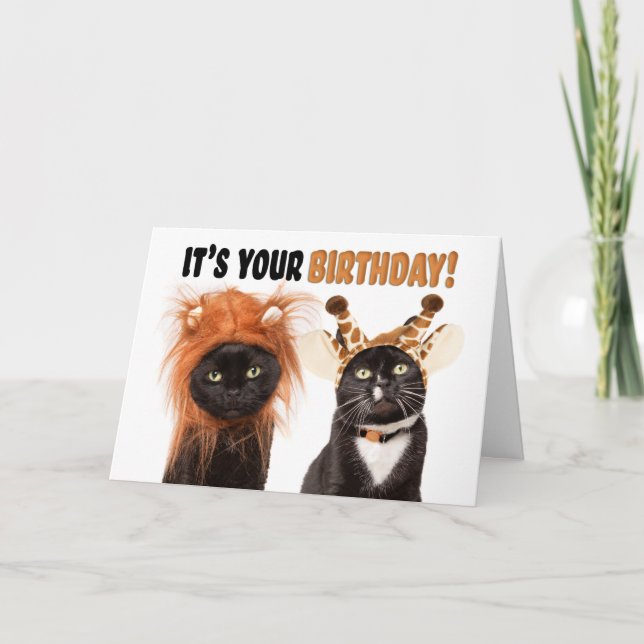 Tarjeta Festiva Gatos felices de cumpleaños vestidos como animales (Anverso)