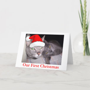 Tarjeta Festiva Gatos navidades