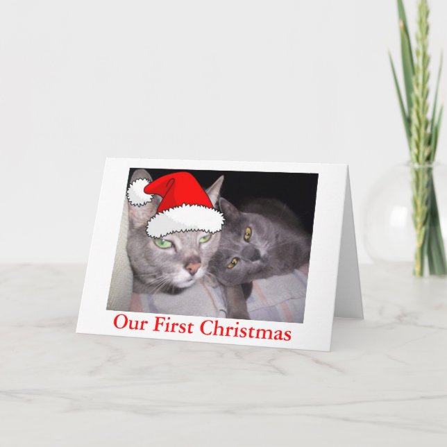 Tarjeta Festiva Gatos navidades (Anverso)