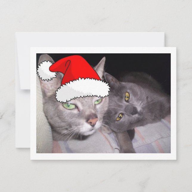 Tarjeta Festiva Gatos navidades (Anverso)