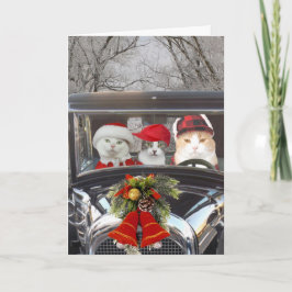 Tarjeta Festiva Gatos navidades en auto