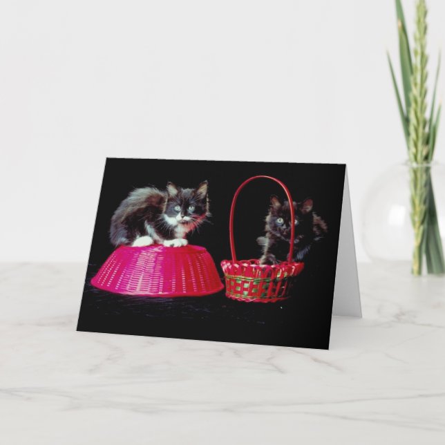 Tarjeta Festiva Gatos negros y grises en cestas rosas de Pascua (Anverso)