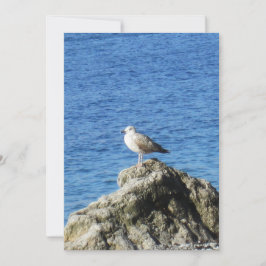 Tarjeta Festiva Gaviota