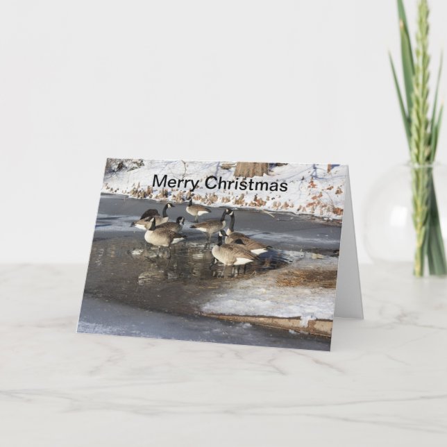Tarjeta Festiva Geese Waiting (Anverso)