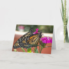 Tarjeta Festiva Gemelos monarcas #1-tarjetas de felicitación