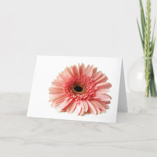 Tarjeta Festiva Gerbera