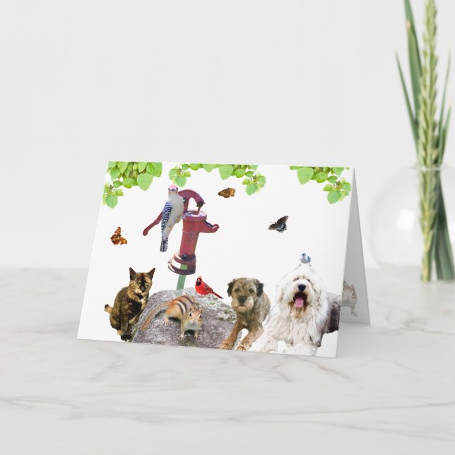 Tarjeta Festiva Get Well: todo el gatito de gatitos: (Anverso)