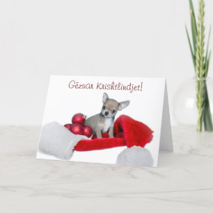 Tarjeta Festiva Gëzuar Krishtlindjet Navidades Perro Chihuahua