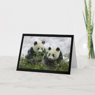 Tarjeta Festiva Giant Pandas