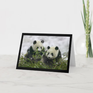Tarjeta Festiva Giant Pandas