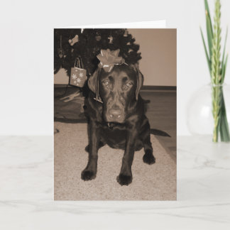Tarjeta Festiva Gift Wraped Labrador