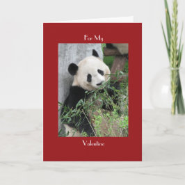 Tarjeta Festiva Gigante Panda El día de San Valentín Red Cuddle y