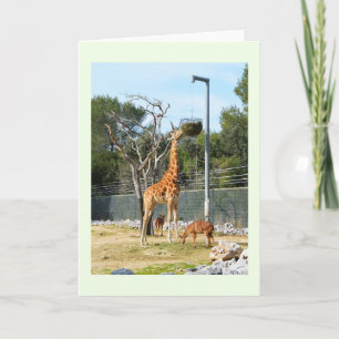 Tarjeta Festiva Giraffe