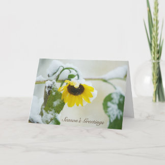 Tarjeta Festiva Girasol del invierno