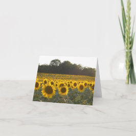 Tarjeta Festiva Girasoles En Francia