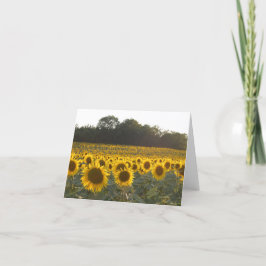 Tarjeta Festiva Girasoles En Francia