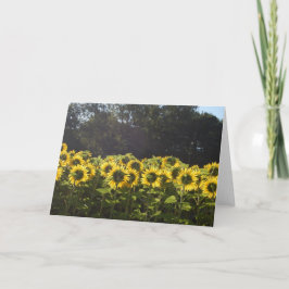 Tarjeta Festiva Girasoles en Francia