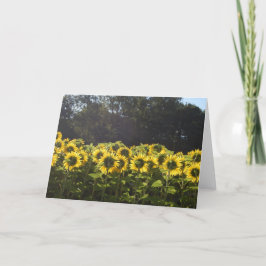 Tarjeta Festiva Girasoles en Francia