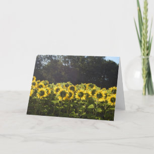 Tarjeta Festiva Girasoles en Francia