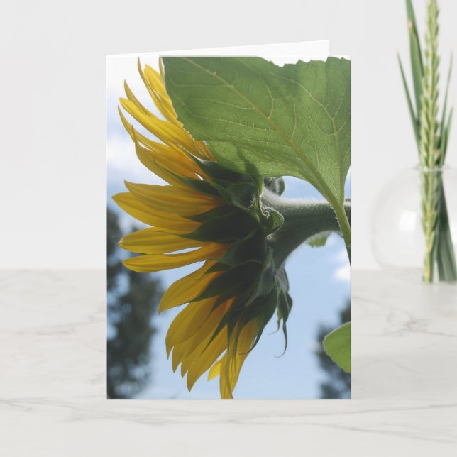 Tarjeta Festiva Girasoles en Francia (Anverso)