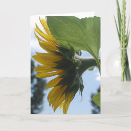 Tarjeta Festiva Girasoles en Francia