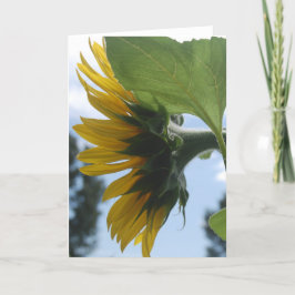 Tarjeta Festiva Girasoles en Francia
