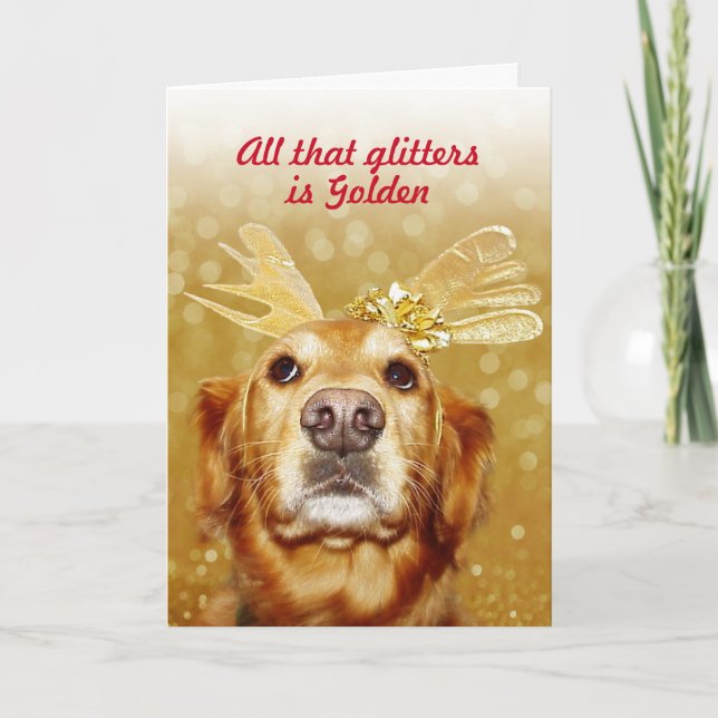 Tarjeta Festiva Golden Retriever All that Purpurina is Golden Holi (Anverso)