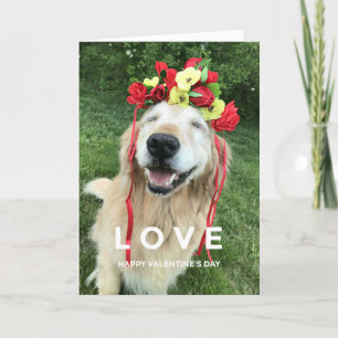 Tarjeta Festiva Golden Retriever con El día de San Valentín de la