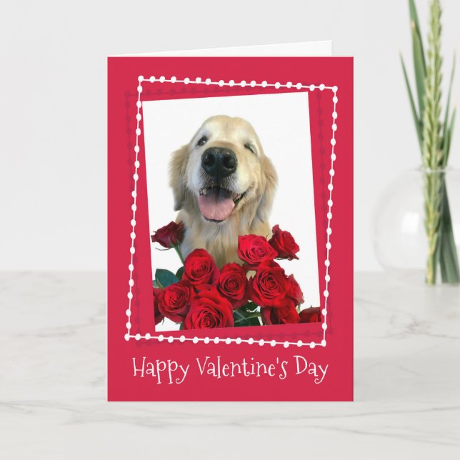 Tarjeta Festiva Golden Retriever con El día de San Valentín de ros (Anverso)