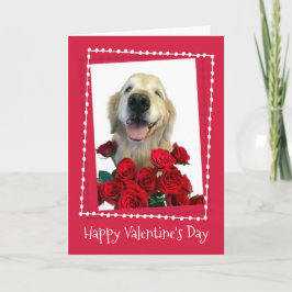 Tarjeta Festiva Golden Retriever con El día de San Valentín de ros