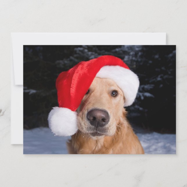 Tarjeta Festiva Golden Retriever con sombrero de Santa (Anverso)