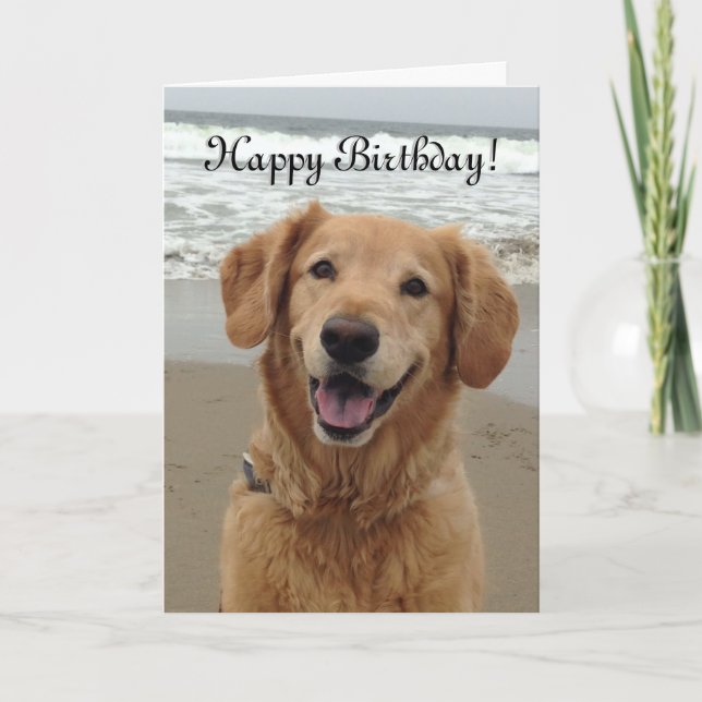 Tarjeta Festiva Golden retriever del feliz cumpleaños (Anverso)